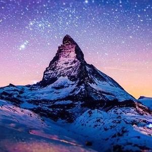 Meet your Posher, Leo